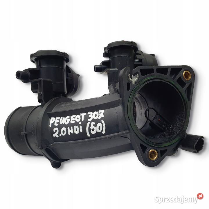 PRZEPUSTNICA Peugeot 307 308 407 20 HDI osobowe Chełm