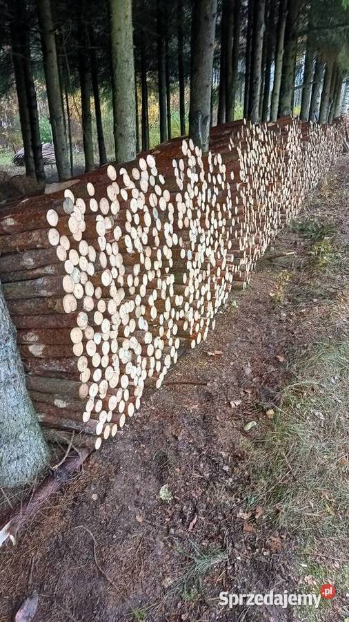 Kołki melioracyjne sprzedam