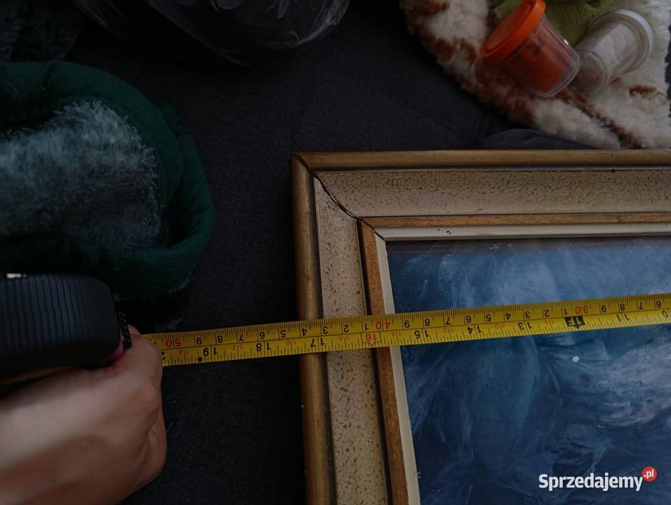 obraz wierzby moczarami Witold Pruszkowski sprzedam