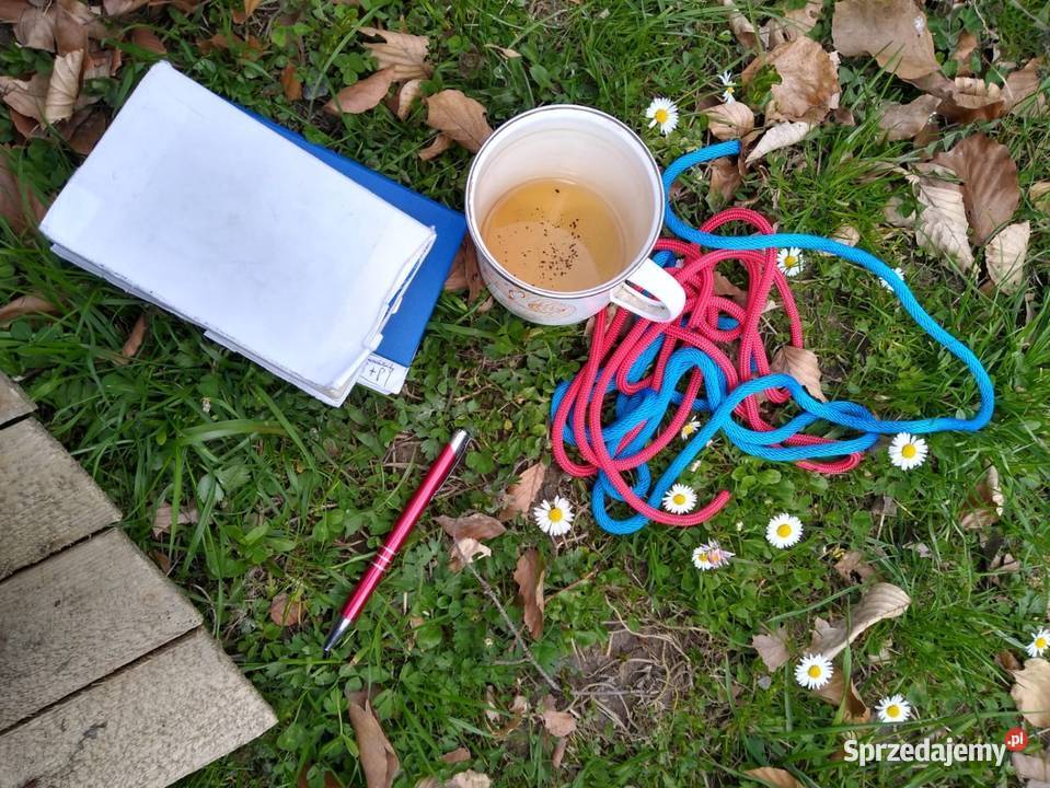 Wynajmę miejsce pod imprezy utwardzona Warszawa
