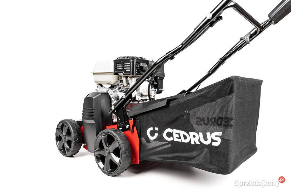 Wertykulator Cedrus CEDWR01H CEDWR01H Opalenica sprzedam