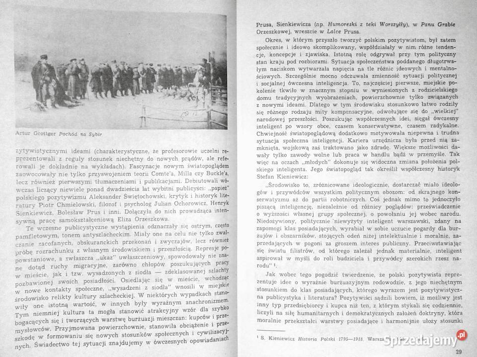 Pozytywizm kl 2 Tadeusz Bujnicki Chełm sprzedam