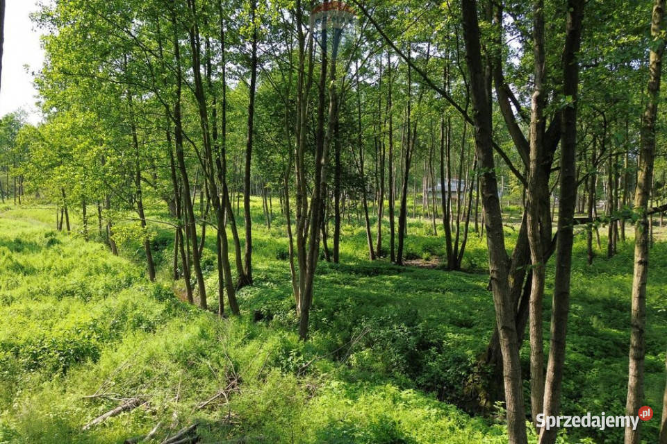 Działka Budowlana 2324 m2 Bieganów gm Jaktorów