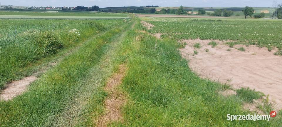 Działka rolna 63ar małopolskie Kraków