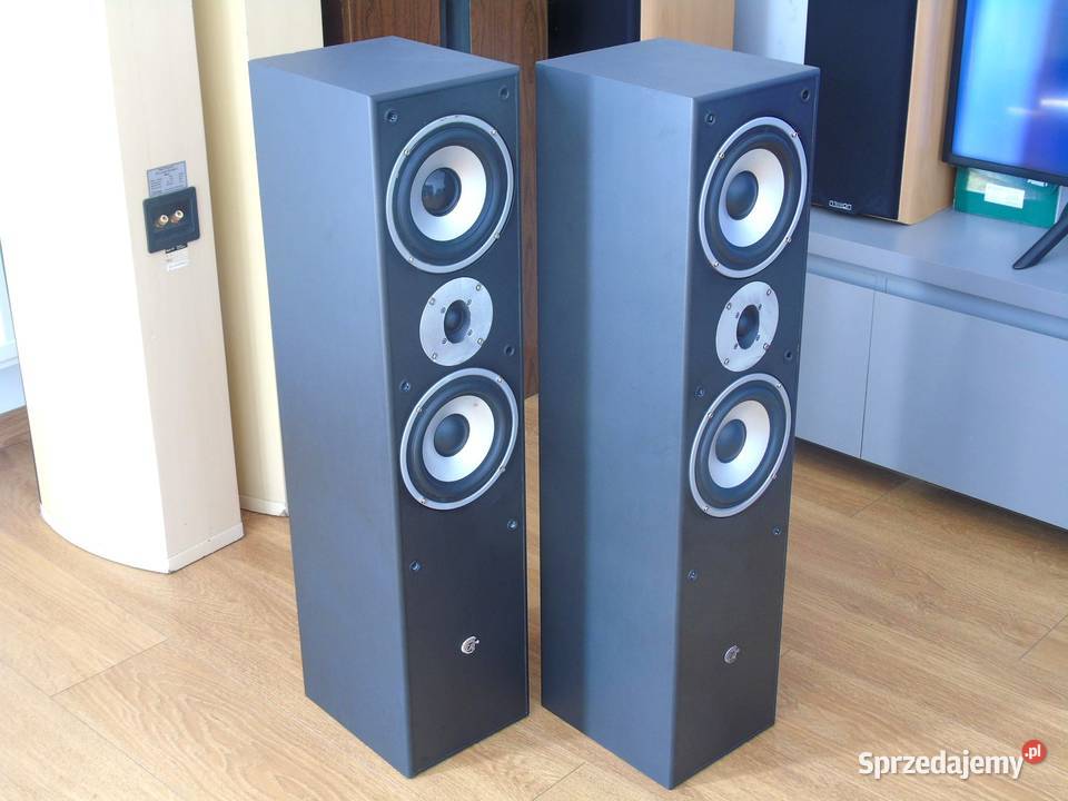 Kolumny Cat 2 x 380 wat łsprawne i ładne DOSTAWA Jasło sprzedam