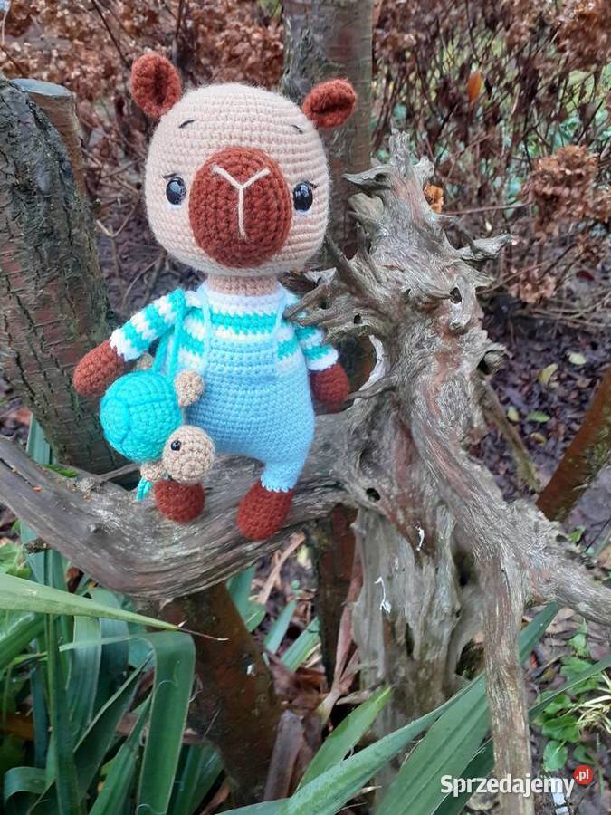 Kapibara na szydełku Nakło nad Notecią