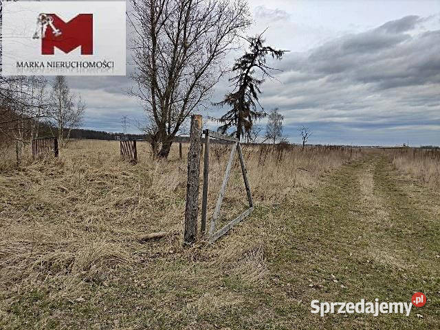 Działka 1000m2 Dąbrówka Górna Posiłkowa opolskie