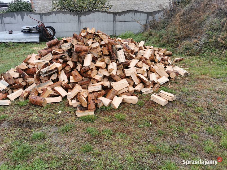 Sprzedam drzewo na opał Sosna Janów Lubelski sprzedam