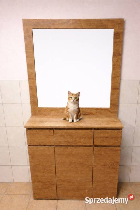 Szafka do przedpokoju z lustrem Pozostałe Suchy Dwór