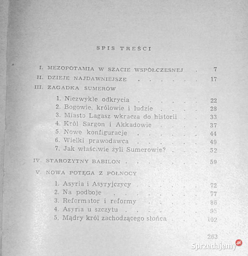 Dawny Babilon i współczesny Irak Jerzy Jan