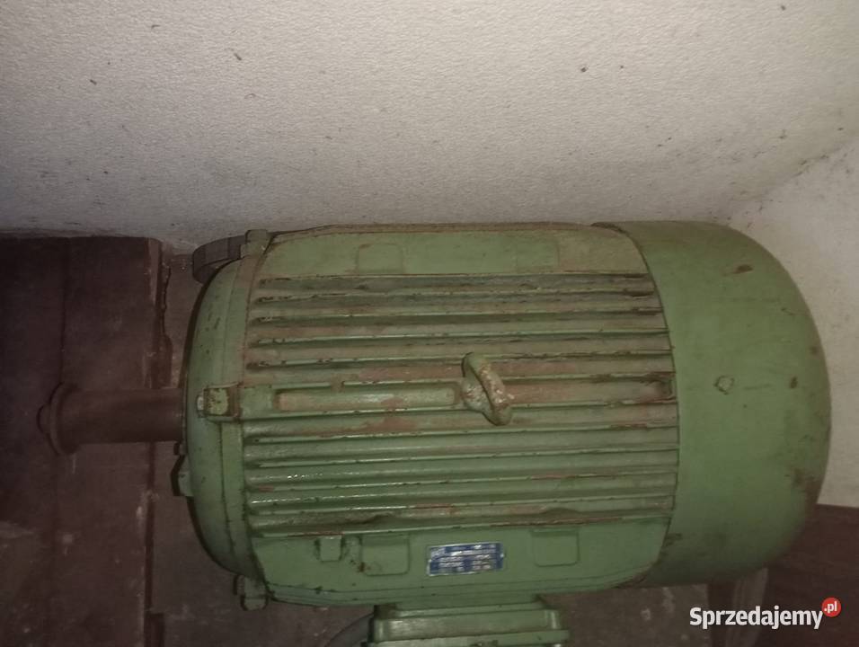 Silnik rębak wielopiła pomorskie Gościcino