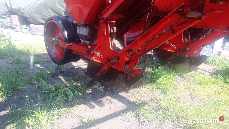 Siewnik do kukurydzy nieuszkodzony sprzedam
