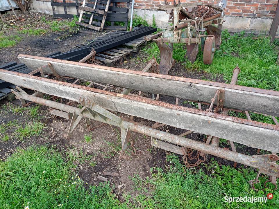 Włóka polowa Gostyń