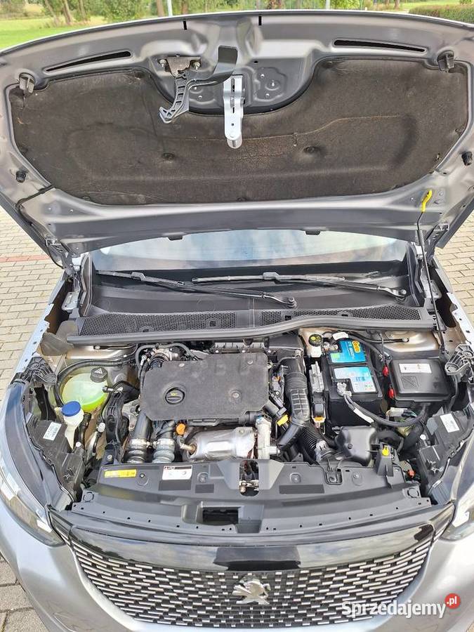 Peugeot 2008 II 2021 wielkopolskie Krotoszyn
