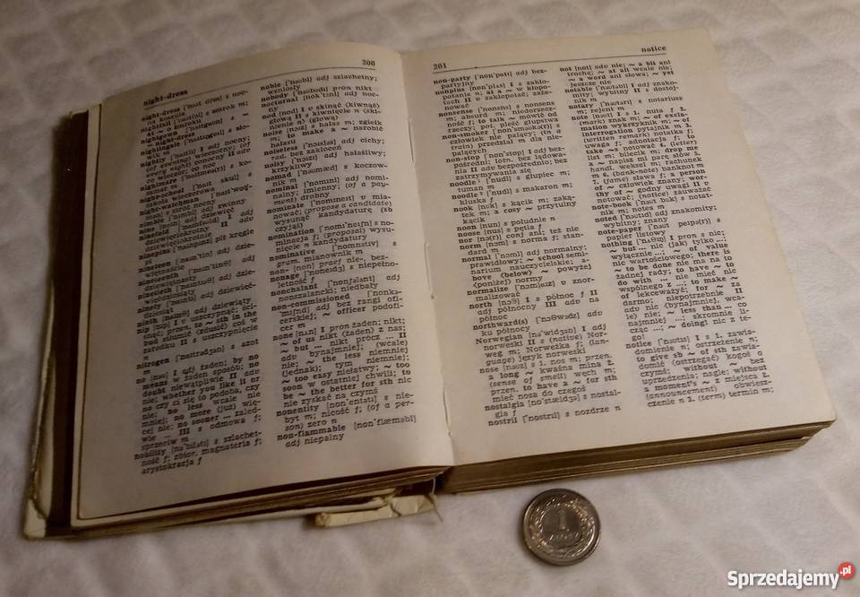Kieszonkowy słownik angielskopolski śląskie Rogoźnik