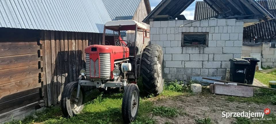 Massey Ferguson 65 lubelskie Łuszczacz
