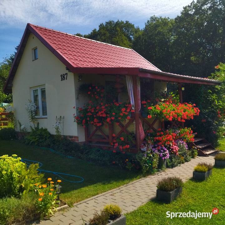 Sprzedam działkę ROD Bielany Sprzedaż Elbląg