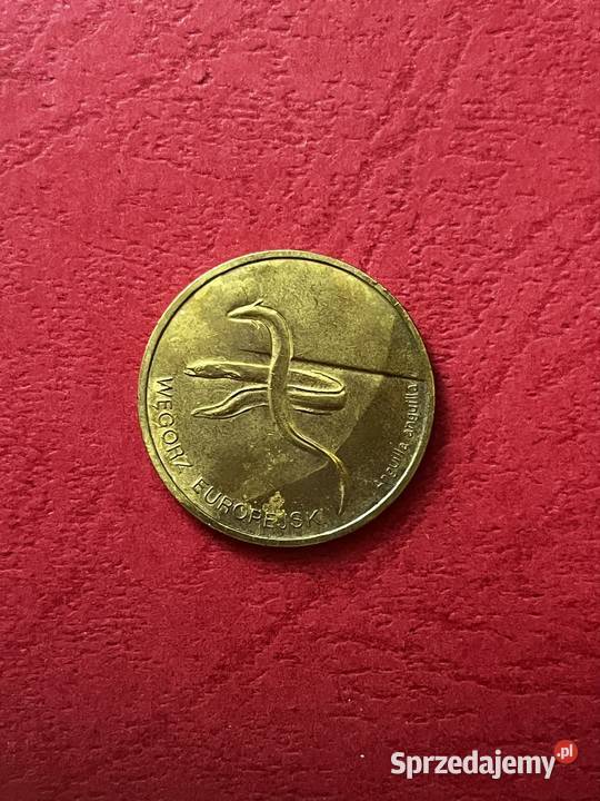 Węgorz Eu rzadka moneta Inowrocław
