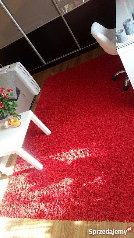 Dywan shaggy Kłobuck