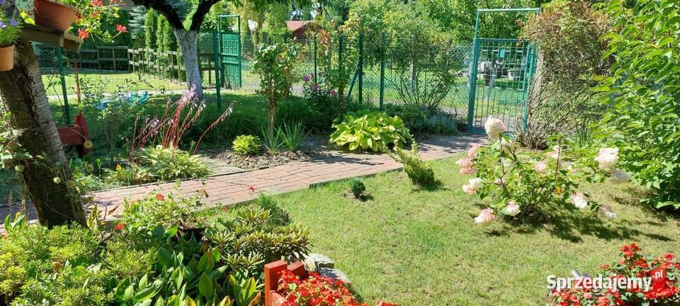 Sprzedam atrakcyjną działkę rekreacyjną prąd Sprzedaż śląskie Katowice