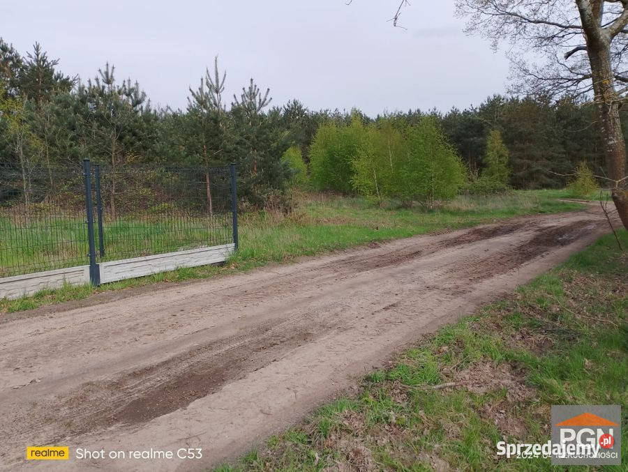 Grunt 4490m2 Dusin Dusin sprzedam