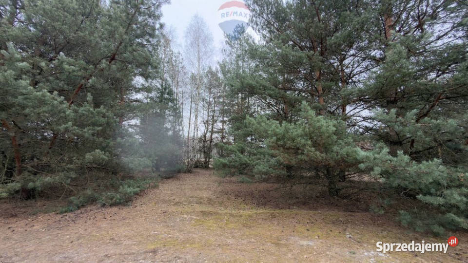 Michałów urokliwa działka budowlana 5500 m2 Sprzedaż