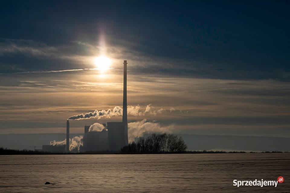 Raport Kobize Olkusz Jasło CzechowiceDziedzice Pozostałe Wrocław