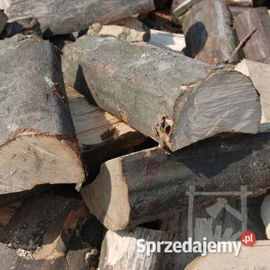 Drewno Człuchów