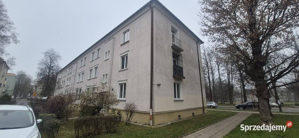 3pokojowe mieszkanie 6336 m parter ogródek cegła Nieruchomości Kraków