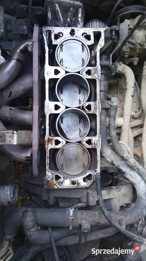 Blok silnika Land rover Freelander 18 benzyna Nowy Sącz