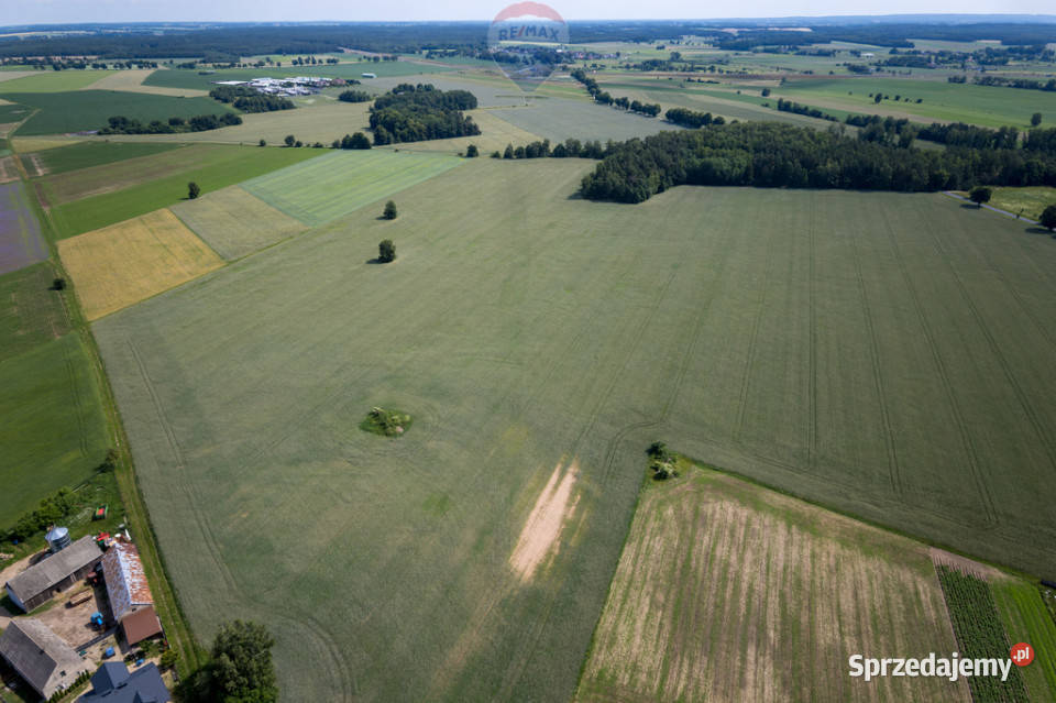 901 ha MPZP produkcja logistyka 1 S7 Białuty