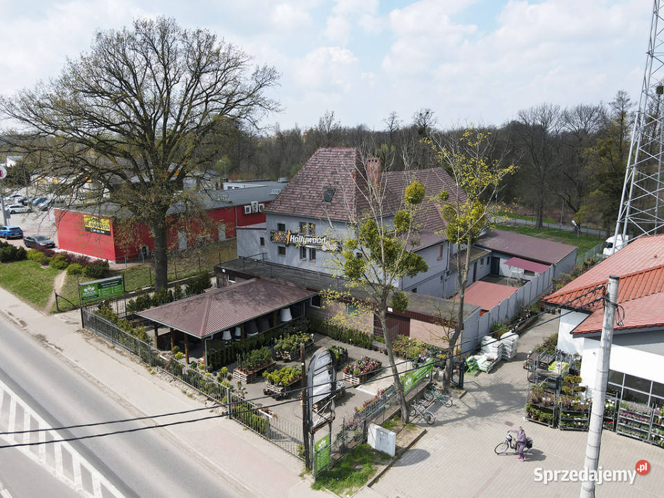 Lokal Niemodlin 700m2