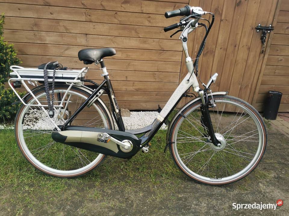 Rowery elektryczne Sparta Bikkel Giant Batavus