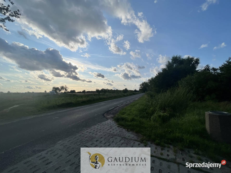 Działka na Żuławach I trasy S7 I 2500 m2 budowlana Kiezmark