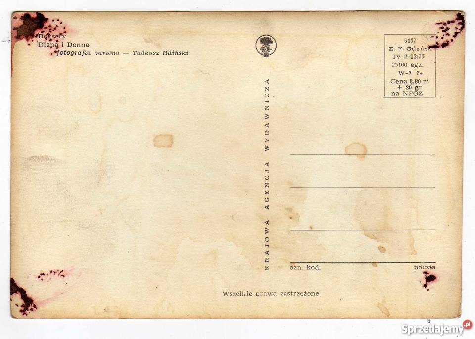 ZWIERZĘTA PIES RASY BOKSER POCZTÓWKA Krynki