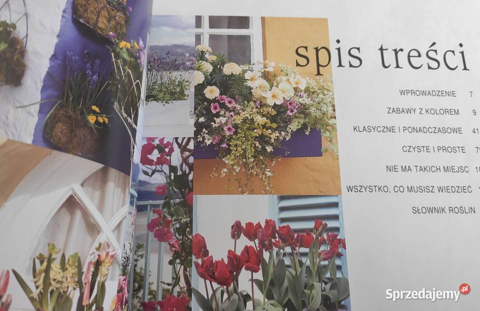 Ogród w oknie na wyciągnięcie ręki Poradniki, albumy i reportaże pomorskie Gdańsk