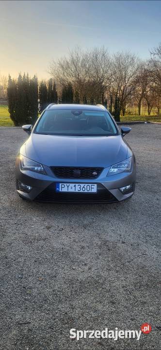 Seat leon 14tsi 150 Polski Salon przyciemniane szyby Poznań
