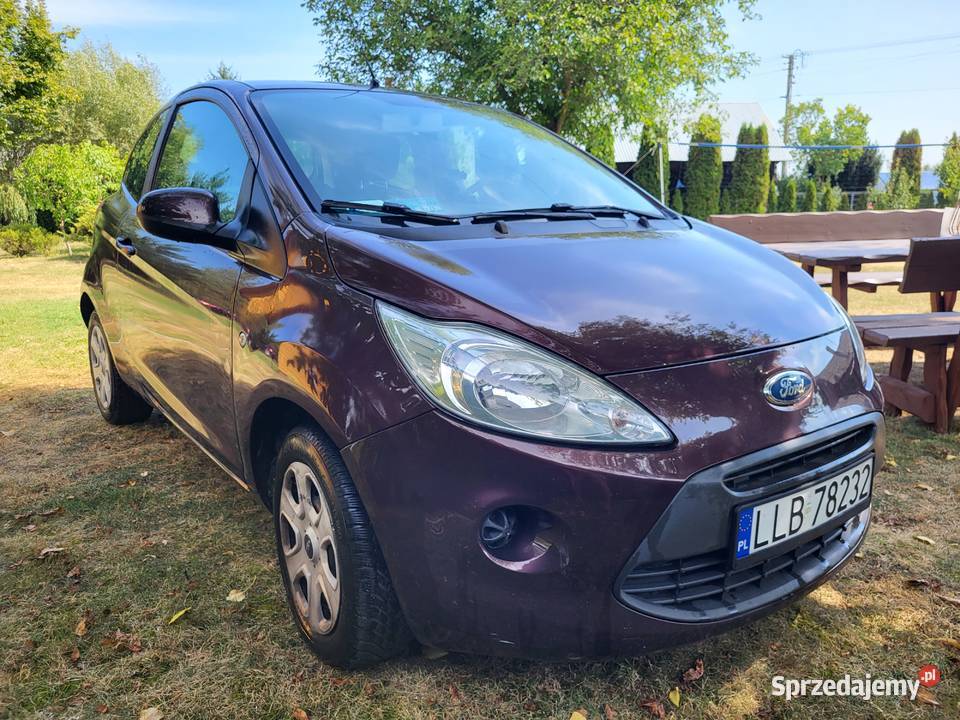 Ford KA 2 2011 Silnik 12 69 Lubartów