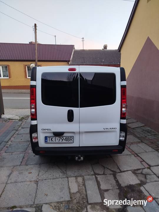 Opel Vivaro 20 ładne Van / Minibus świętokrzyskie Bodzentyn