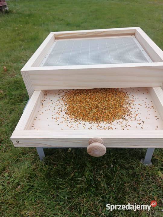 Dennica z poławiaczem pyłku małopolskie