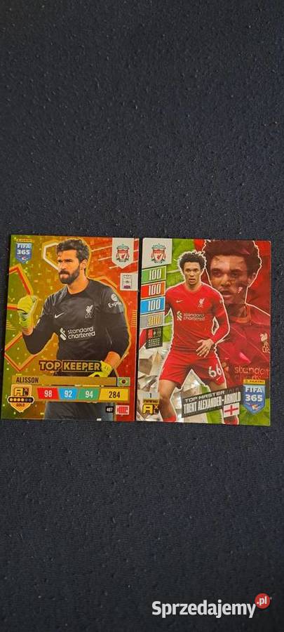 Karta panini Rzeszów