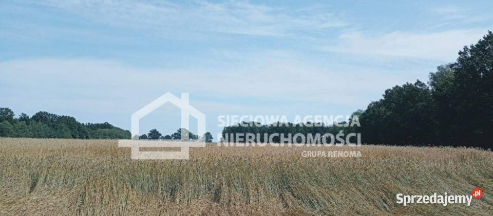 Grunt na sprzedaż 32911m2 Wilkowo Nowowiejskie 40zł/m2
