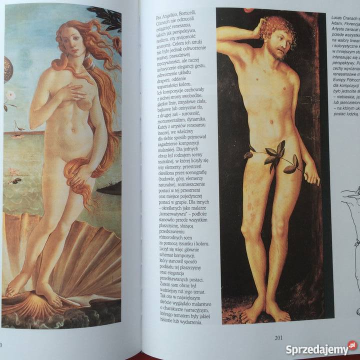 334 Sztuka Rozpoznawania Stylów Szczecin