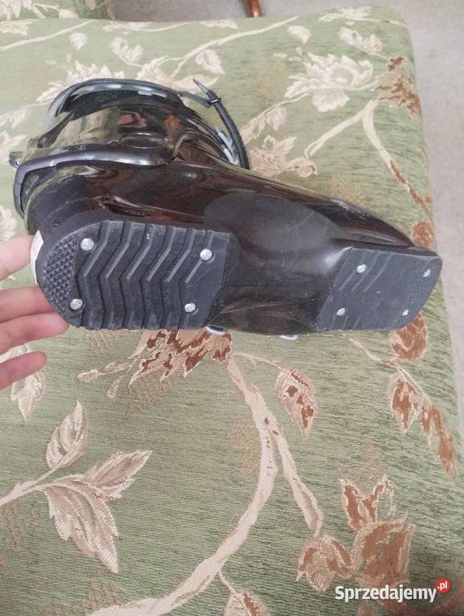 Buty narciarskie Dalbello Wrocław