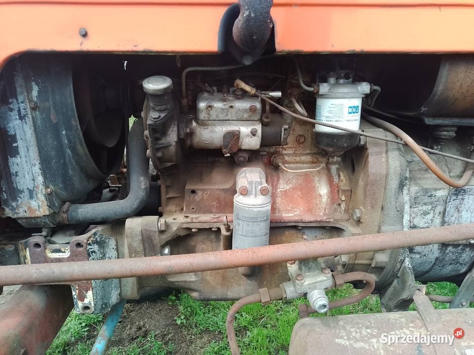 Ursus C360 silnik 3P Perkins Rolnictwo wielkopolskie Jędrzejewo sprzedam
