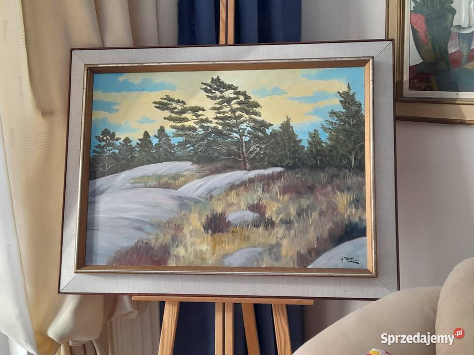 Thorpe Ake Olsson Szwedzka natura cenny obraz mazowieckie Iłża