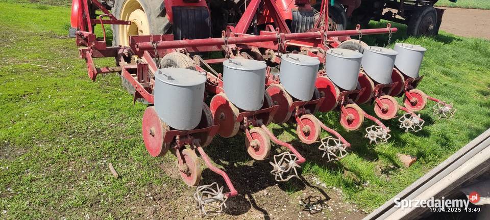 siewnik do buraków Siewniki i sadzarki lubelskie Turobin sprzedam