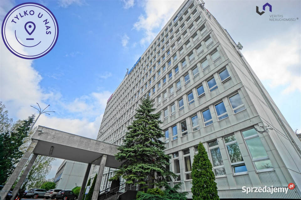 Lokal Katowice Mikołowska 318 metrów 31.8m2 Wynajem śląskie
