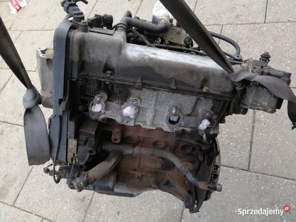 fiat Panda II Punto II 12 8v silnik kompletny Rok produkcji 2010 Silniki kompletne Jastrzębie-Zdrój