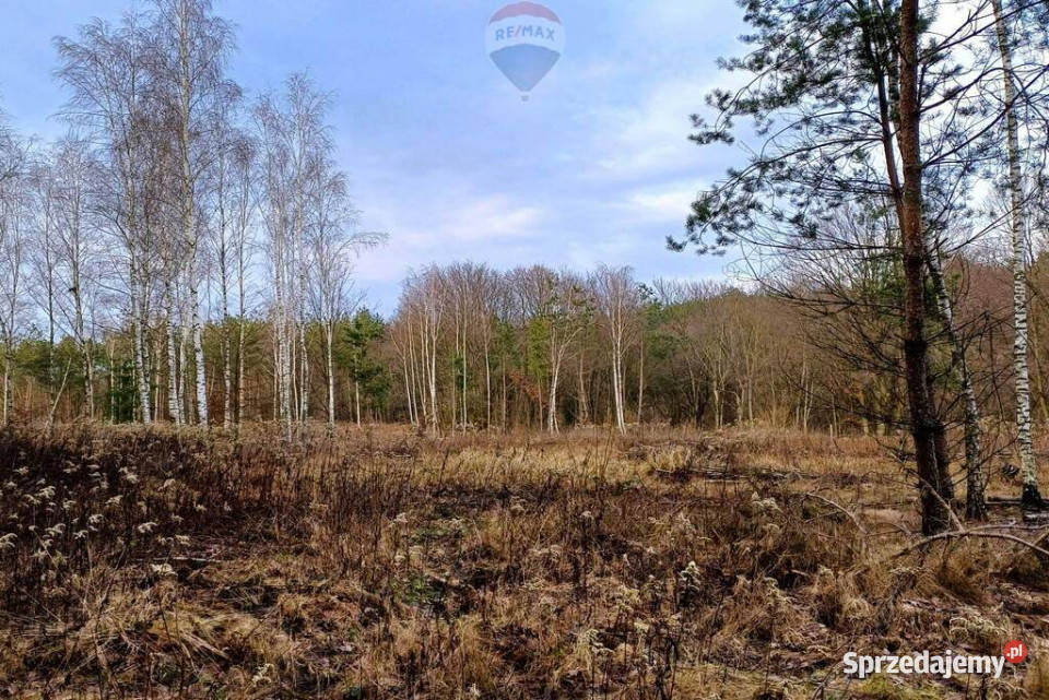 Działka wśród drzew z udziałem w akwenie kujawsko-pomorskie Pinino